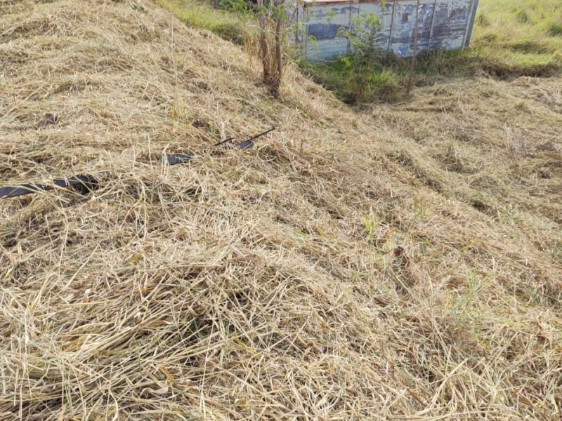 imóvel com 1000m² - Várzea - Lagoa Santa