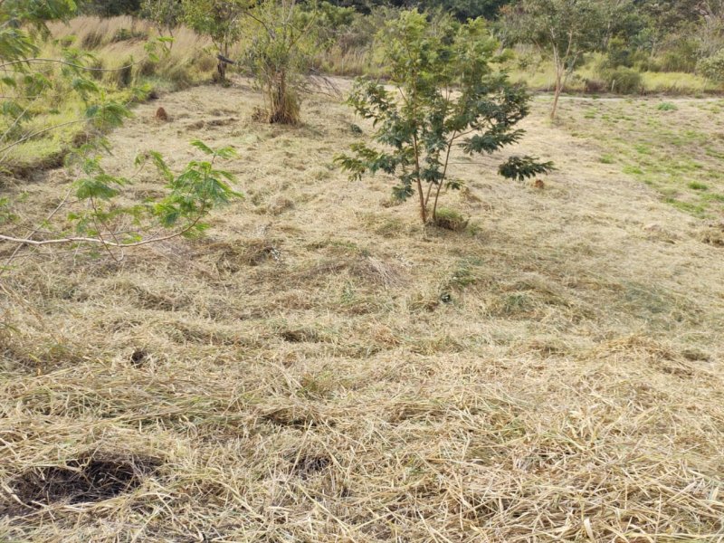 imóvel com 1000m² - Várzea - Lagoa Santa