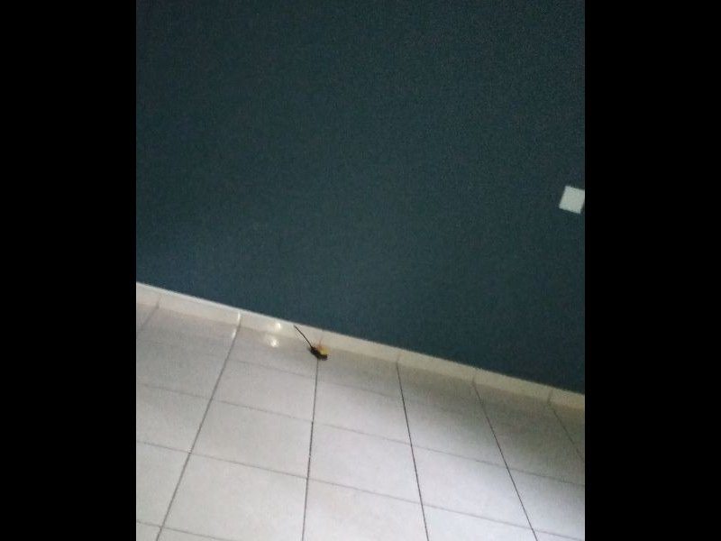 Apartamento à venda Jardim Ansalca com 49m² e 2 quartos por R$ 240 - 1596106724-77f8e357-3178-45d2-829b-29db4f656084.jpg
