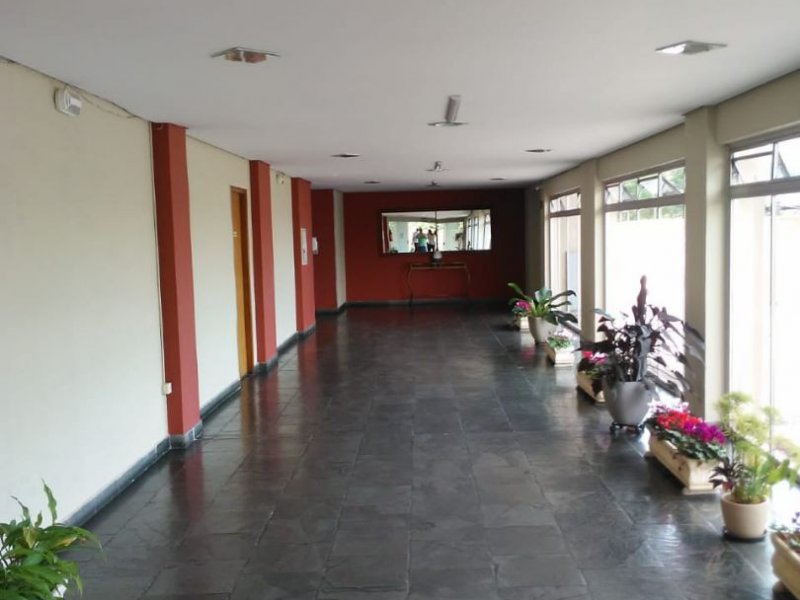 Apartamento à venda Jardim Pitangueiras com 54m² e 2 quartos por R$ 250.000 - 1317954910-60fd0532-9f11-4deb-8c9f-edb92712b615.jpg