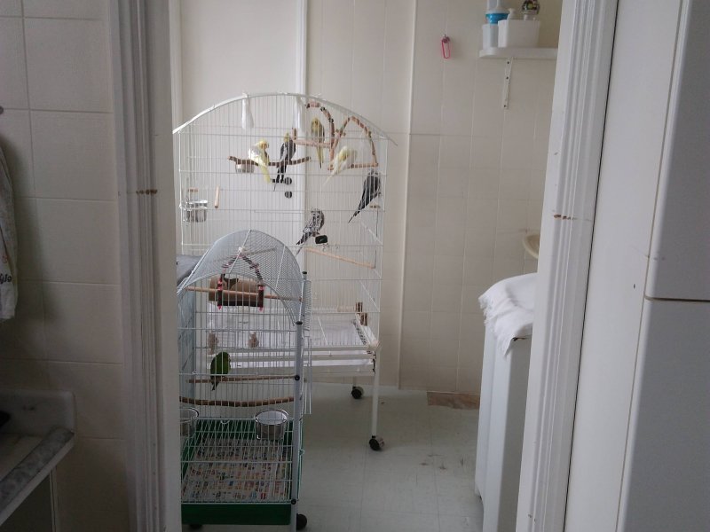 Apartamento à venda Ponta da Praia com 109m² e 2 quartos por R$ 585.000 - 394904607-img-20200211-080241.jpg