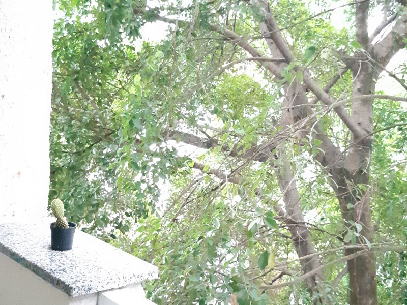 Apartamento à venda Pechincha com 58m² e 2 quartos por R$ 270.000 - 124658280-20191117-152154.jpg