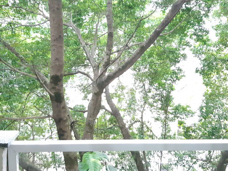 Apartamento à venda Pechincha com 58m² e 2 quartos por R$ 270.000 - 1390785600-20191117-152139.jpg