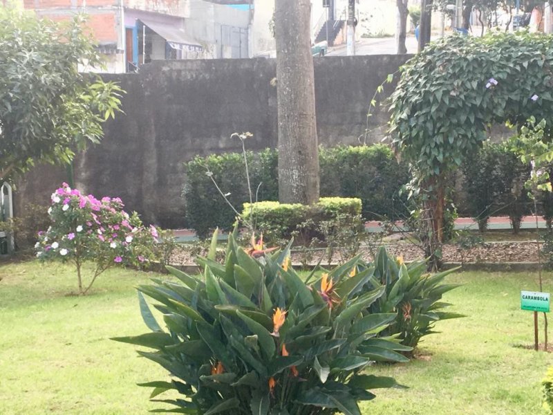 Apartamento à venda Vila Granada com 54m² e 2 quartos por R$ 350.000 - 356549368-e1a89f97-7d40-4fda-bfd3-a146395c6aa1.jpeg