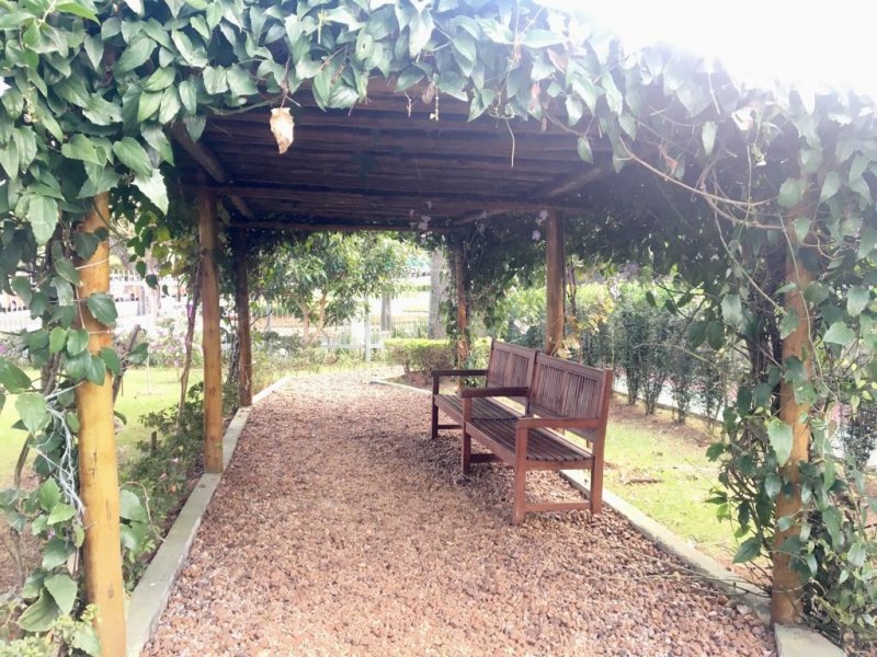 Apartamento à venda Vila Granada com 54m² e 2 quartos por R$ 350.000 - 820231876-c82acf72-31f0-429c-810d-6e009474d271.jpeg