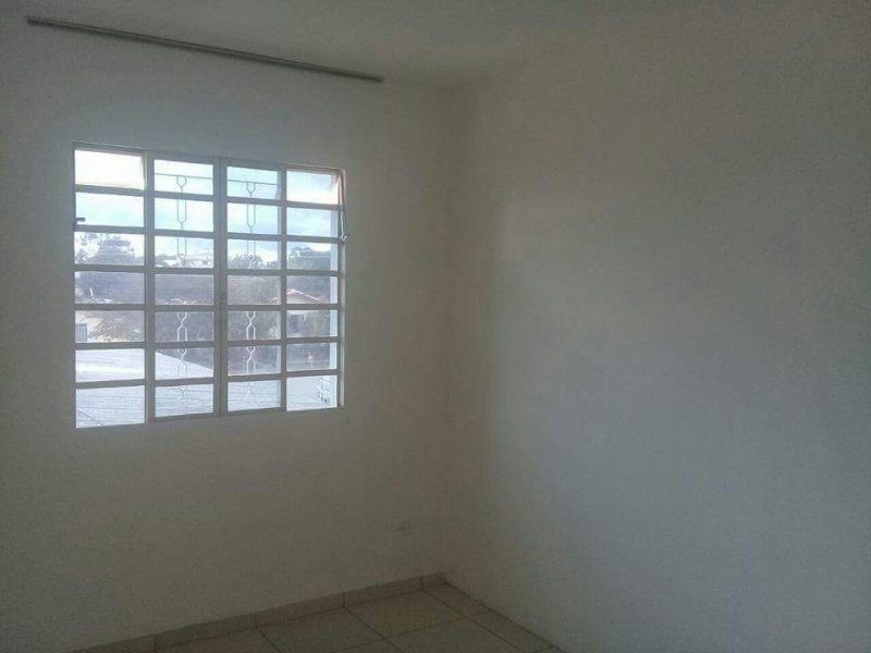 Apartamento para alugar Hauer com 50m² e 4 quartos por R$ 599 - 1985807161-b7448770-8c56-43b0-9ad9-3f757b0b95a3.jpg