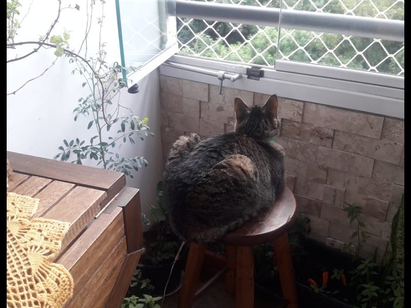 imóvel com 61m² - Jardim Cocaia - Guarulhos