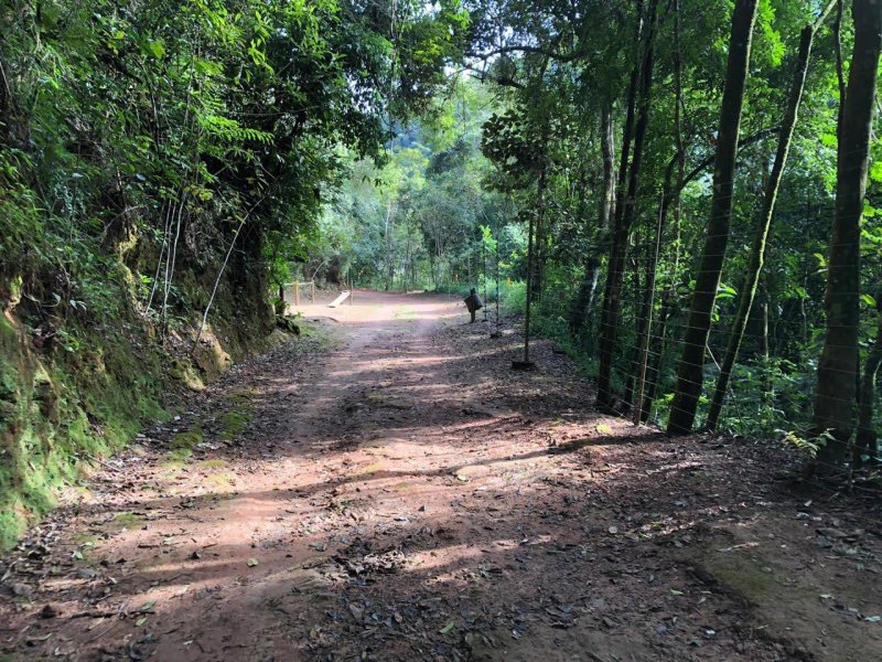 Casa à venda Fazenda dos Pires com 477m² e 5 quartos por R$ 1.960.000 - 1772357935-e2bebe7d-d02b-42e4-97c1-7e4def51cd28.jpg