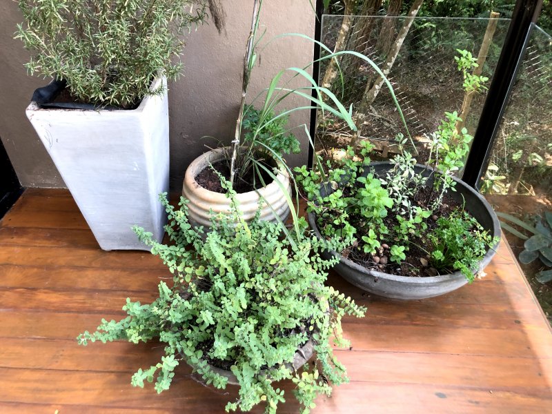 Casa à venda Fazenda dos Pires com 477m² e 5 quartos por R$ 1.960.000 - 1937085741-img-8085.jpg