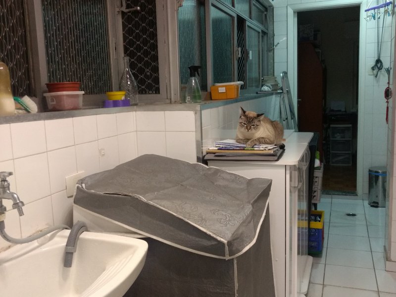 Apartamento à venda Alto da Mooca com 102m² e 3 quartos por R$ 480.000 - 392086533-img-20180808-185726062.jpg