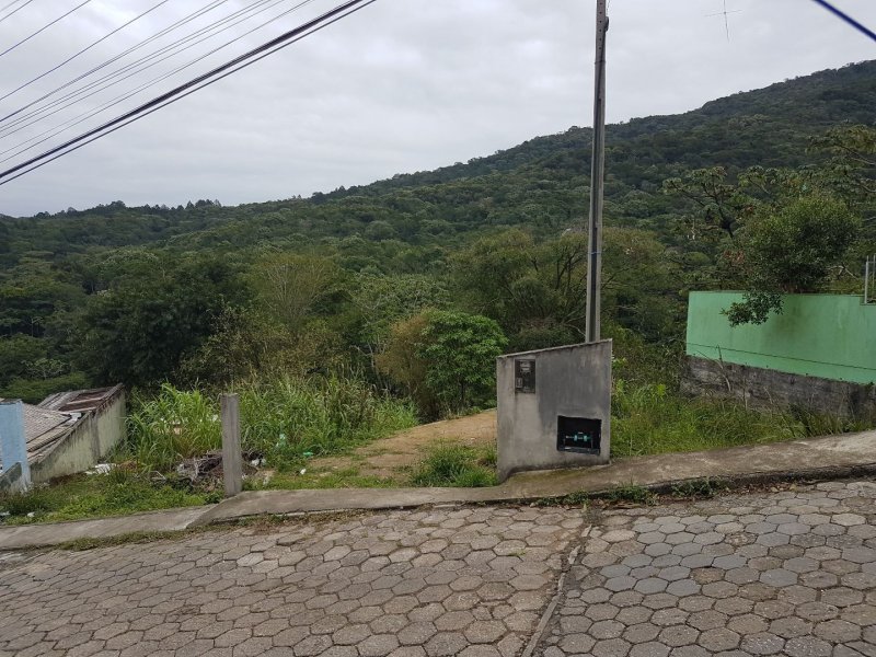 Terreno à venda Itacorubi com 440m² e 1 quarto por R$ 100.000 - 1170284618-1f122d46-8335-445b-9f8c-8c59b7dc173d.jpg
