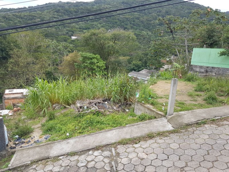 Terreno à venda Itacorubi com 440m² e 1 quarto por R$ 100.000 - 540212570-093fcd9a-d3a5-4c4e-b5cd-4f3a2ed5aef0.jpg
