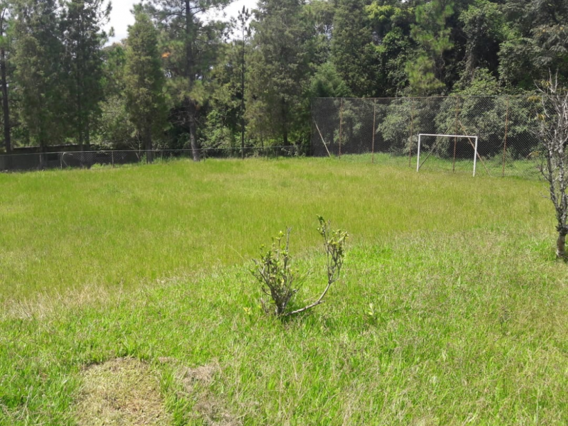 Sítio à venda Éden com 73m² e 6 quartos por R$ 2.700.000 - 1305425582-download-13.png