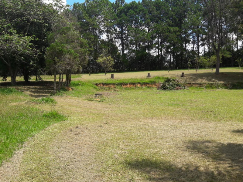 Sítio à venda Éden com 73m² e 6 quartos por R$ 2.700.000 - 1663351585-download-14.png