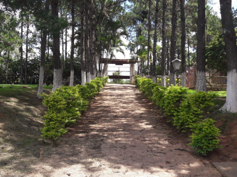 Sítio à venda Éden com 73m² e 6 quartos por R$ 2.700.000 - 265950095-download-12.png