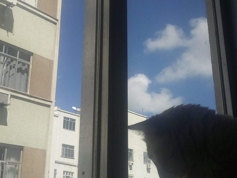 Studio à venda Botafogo com 18m² e 1 quarto por R$ 265.000 - 1939564891-img-20200420-112551.jpg