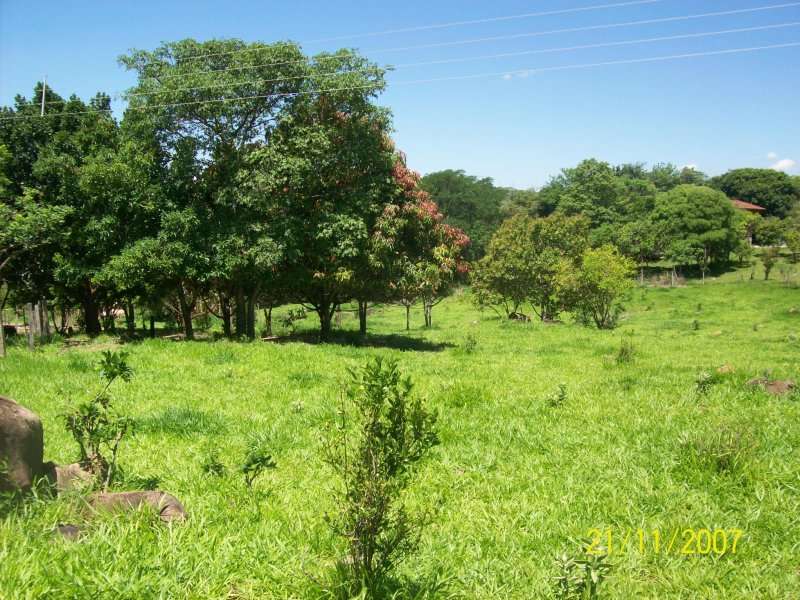 Sítio à venda Carlos Gomes com 50m² e 2 quartos por R$ 3.500.000 - 1884107649-100-0988.jpg