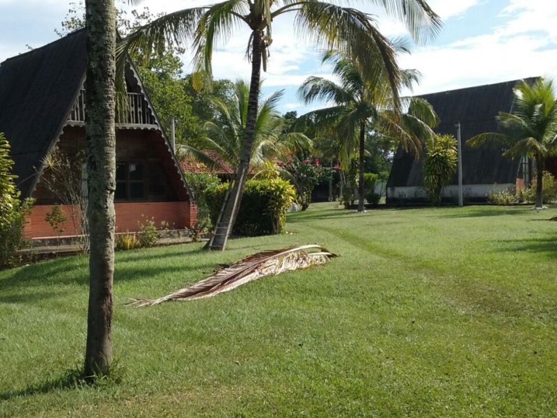 Sítio à venda Vila Rica com 20m² e 6 quartos por R$ 550.000 - 1714830240-inbound6074949107575936850.jpg