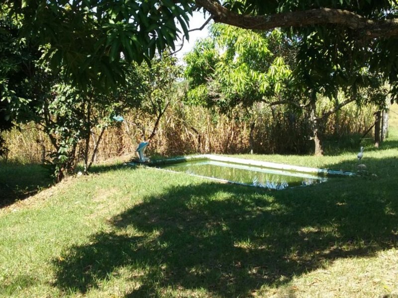 Sítio à venda Vila Rica com 20m² e 6 quartos por R$ 550.000 - 1798992748-inbound685383557363840479.jpg