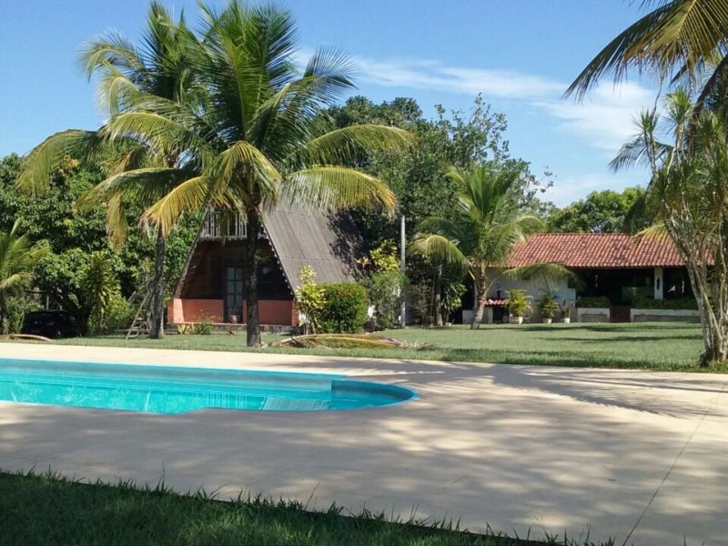 Sítio à venda Vila Rica com 20m² e 6 quartos por R$ 550.000 - 2129792415-inbound6631945882714429691.jpg