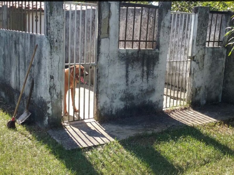 Sítio à venda Vila Rica com 20m² e 6 quartos por R$ 550.000 - 56611208-inbound934787011776951036.jpg