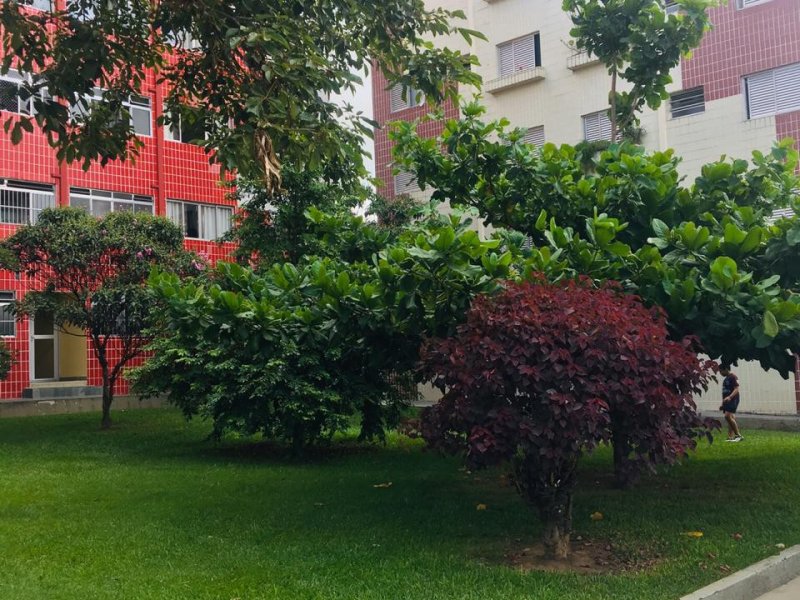 Apartamento à venda Cidade Dutra com 68m² e 2 quartos por R$ 305.000 - 231327008-bcfbb113-e8cc-42eb-b7ac-431726588ae9.jpeg