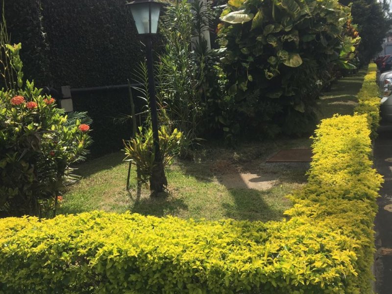 Apartamento à venda Cidade Dutra com 68m² e 2 quartos por R$ 305.000 - 506321596-2492fd6d-c3ca-44fe-be19-a6e139a56aa2.jpeg