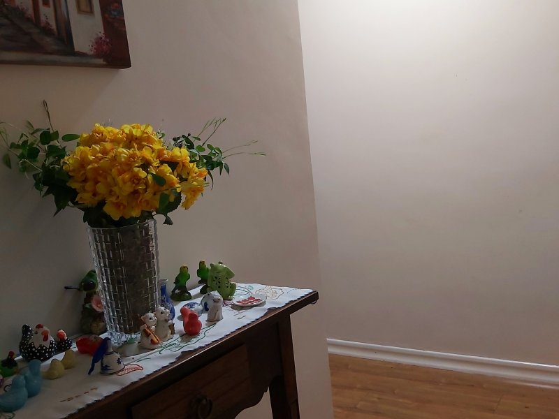Apartamento à venda Vila Irmãos Arnoni com 120m² e 3 quartos por R$ 490.000 - 884944723-hall-de-entrada-parede.jpg