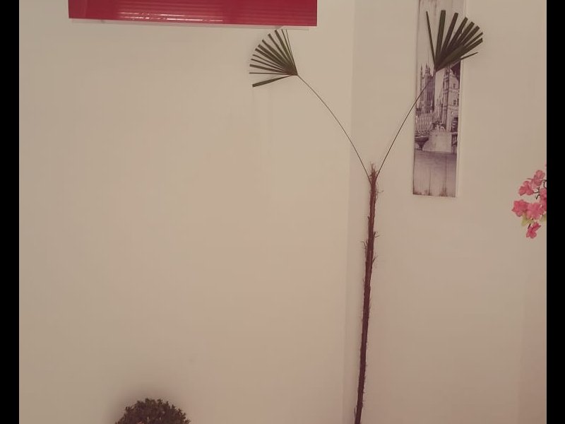 Apartamento à venda Vila Maria Alta com 50m² e 2 quartos por R$ 380.000 - 88153388-whatsapp-image-2020-08-02-at-06.jpeg