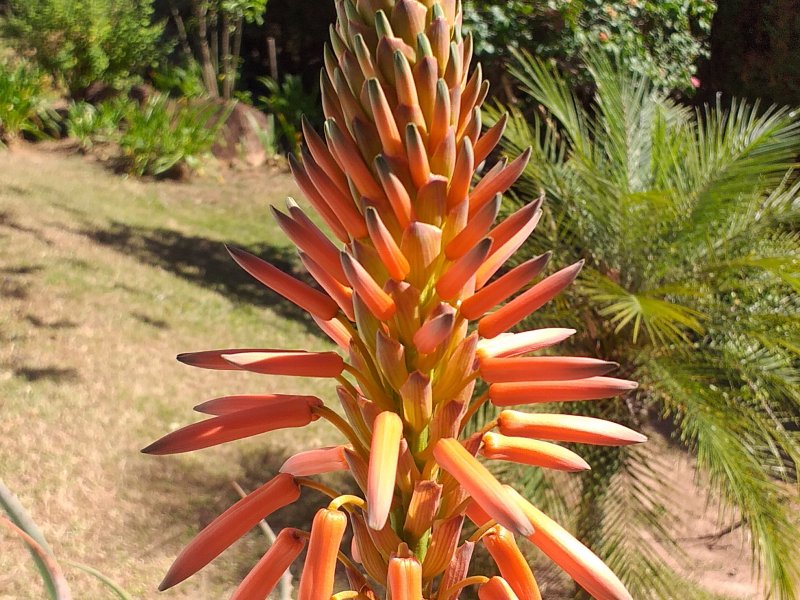 Casa de condomínio à venda Condomínio Monte Belo com 270m² e 3 quartos por R$ 1.450.000 - 1268079071-20200526-124743.jpg