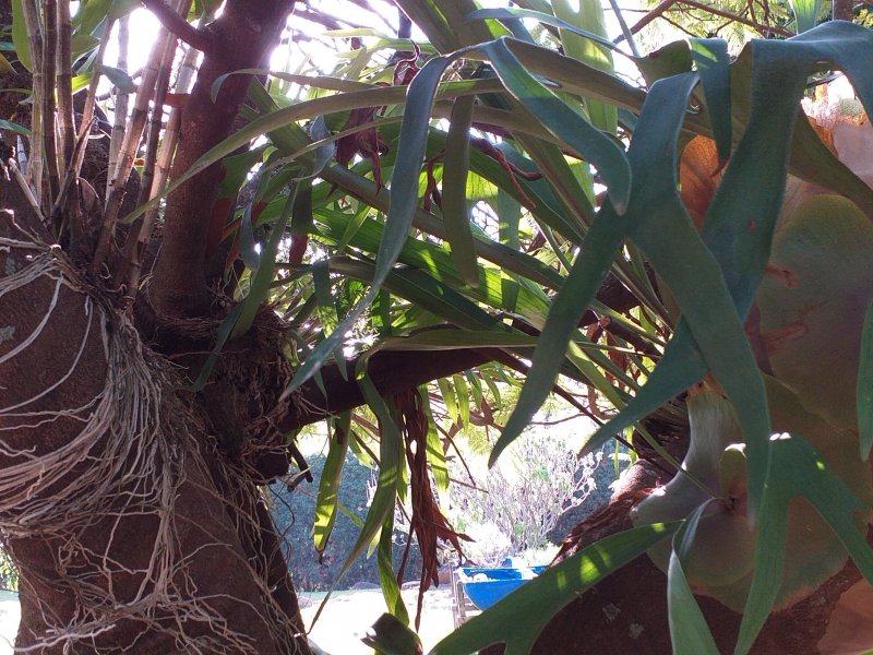 Casa de condomínio à venda Condomínio Monte Belo com 270m² e 3 quartos por R$ 1.450.000 - 1986871188-20200711-154651.jpg