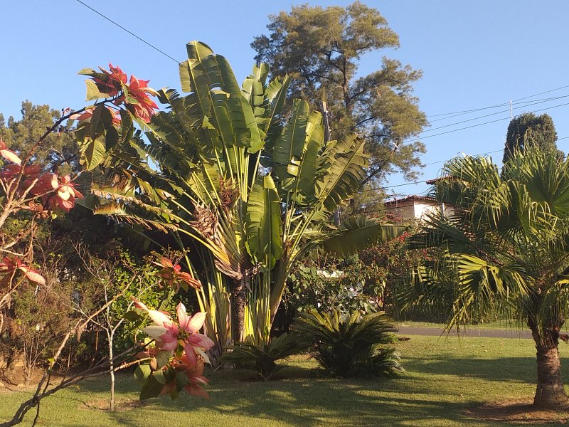 Casa de condomínio à venda Condomínio Monte Belo com 270m² e 3 quartos por R$ 1.450.000 - 977318201-20200715-160842.jpg