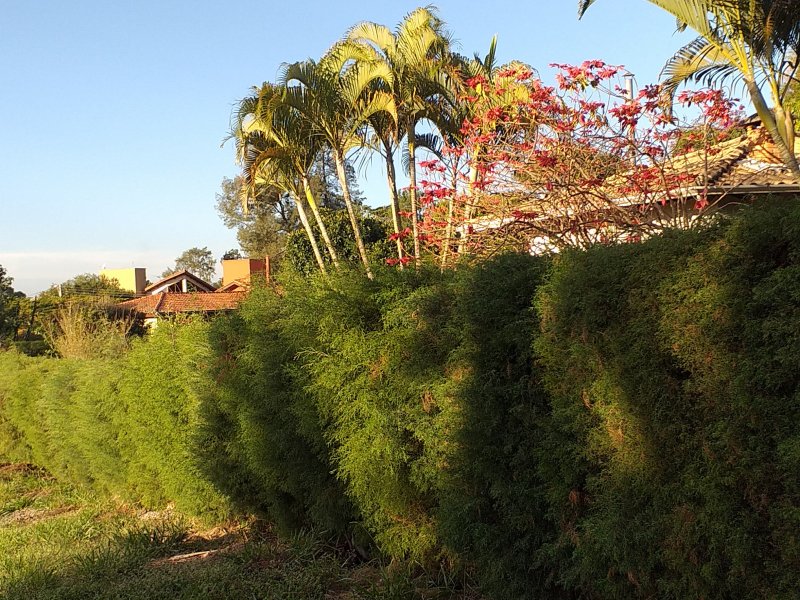 Casa de condomínio à venda Condomínio Monte Belo com 270m² e 3 quartos por R$ 1.450.000 - 990357109-20200709-164217.jpg