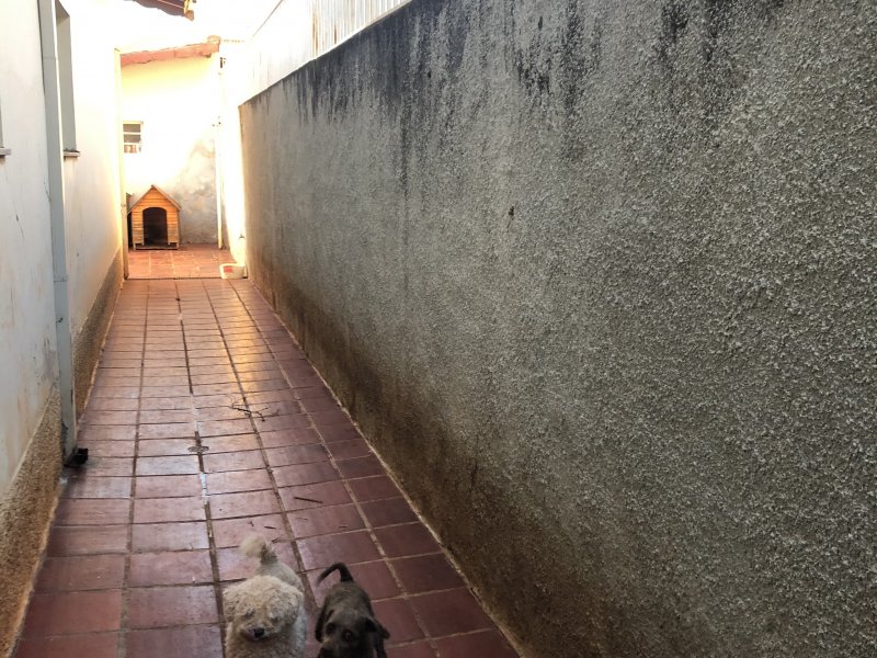 Casa à venda Jardim Chapadão com 583m² e 4 quartos por R$ 1.480.000 - 1211761787-125827ab-ffca-4cdf-bc57-349a39845ff9.jpeg