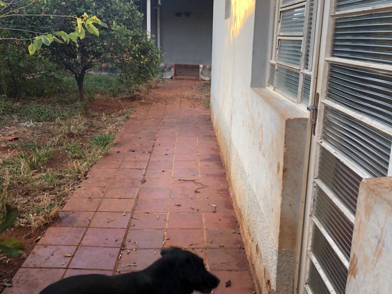 Casa à venda Jardim Chapadão com 583m² e 4 quartos por R$ 1.480.000 - 1809305120-d1884ce1-23b2-442d-8ed6-56f4beb528e8.jpeg
