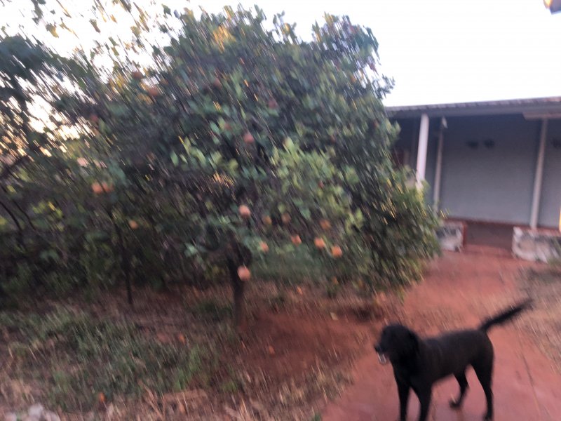 Casa à venda Jardim Chapadão com 583m² e 4 quartos por R$ 1.480.000 - 1810353123-72c37eac-180f-46a4-9571-8258a3518866.jpeg