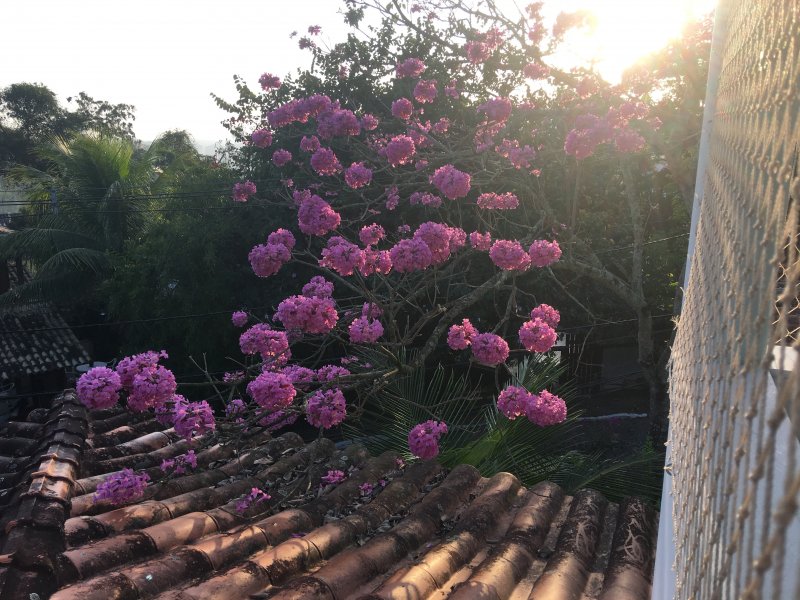 Casa de condomínio à venda Vila Progresso com 350m² e 5 quartos por R$ 1.150.000 - 708920824-20170718-071802-img-3662.JPG