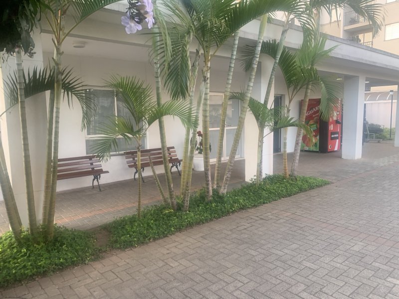 Apartamento à venda Vila Moreira com 49m² e 2 quartos por R$ 330.000 - 1449706671-9bcf738a-c58a-45ae-83ef-4f90ef6d9eff.jpeg