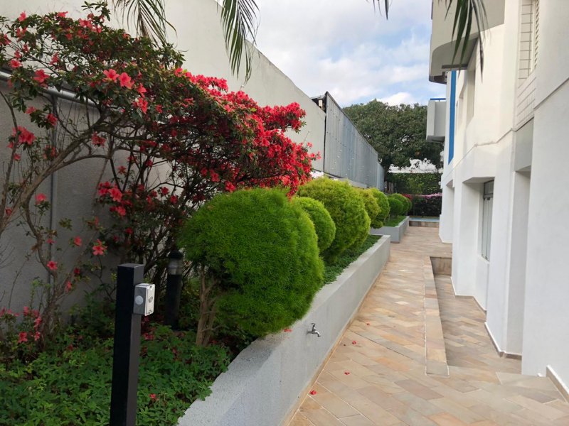 Apartamento à venda Pinheiros com 54m² e 2 quartos por R$ 750.000 - 511339425-whatsapp-image-2020-08-06-at-00.jpeg