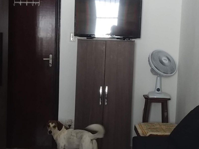 imóvel com 70m² - Vila Valença - São Vicente
