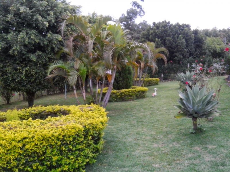Chácara à venda douradinho com 300m² e 3 quartos por R$ 650.000 - 1210965108-41344943-2ea8-44fe-960b-85e214245129.jpg