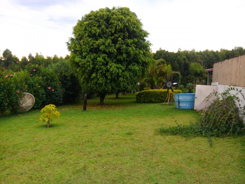 Chácara à venda douradinho com 300m² e 3 quartos por R$ 650.000 - 1845165095-7d5ef81a-9003-418b-8feb-2ce493e07a50.jpg