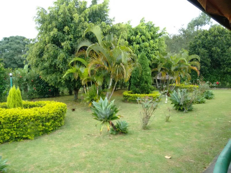 Chácara à venda douradinho com 300m² e 3 quartos por R$ 650.000 - 35033271-img-20160104-wa0028.jpg