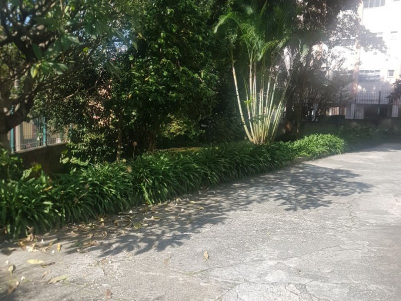 imóvel com 82m² - Vila Cláudia - São Paulo