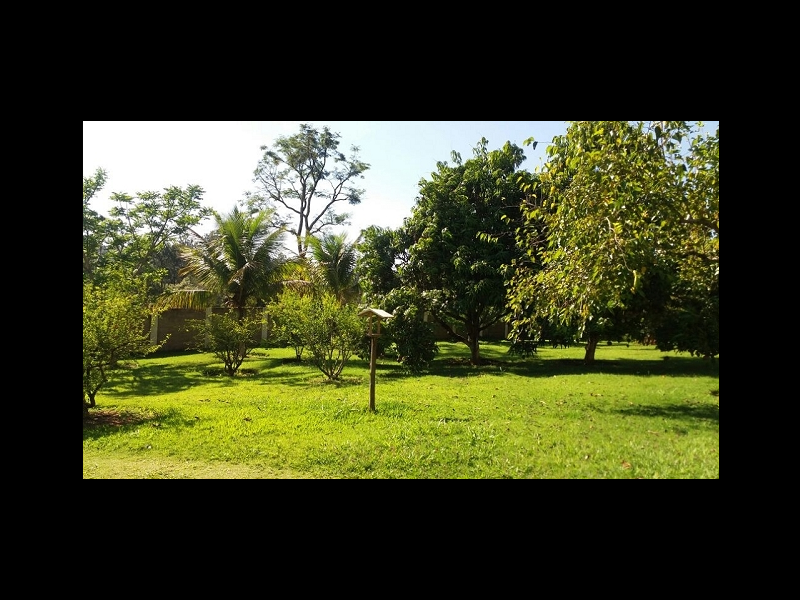 Chácara à venda Guacuri com 800m² e 4 quartos por R$ 1.275.000 - 2111298794-6pomar-3.PNG