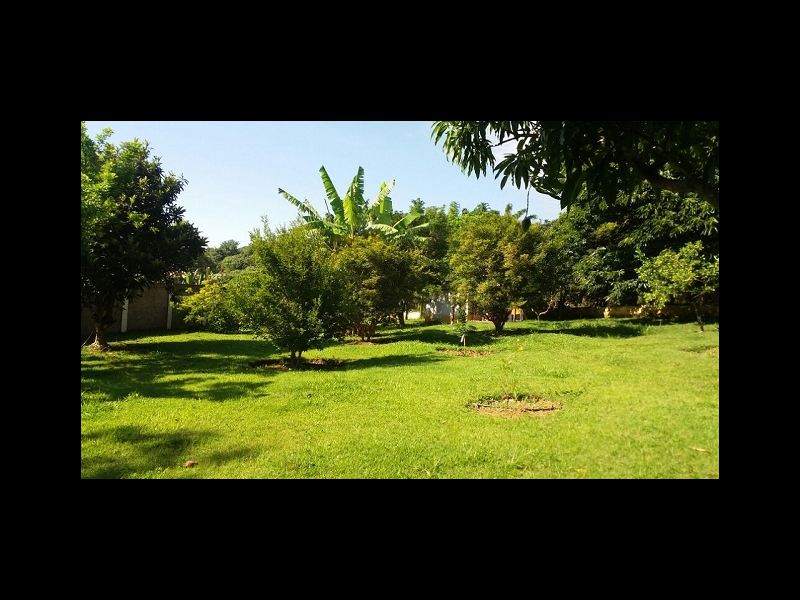 Chácara à venda Guacuri com 800m² e 4 quartos por R$ 1.275.000 - 847372339-6pomar-2.PNG