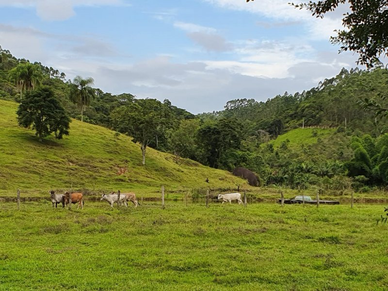 imóvel com 150000m² - Universitário  - Tijucas