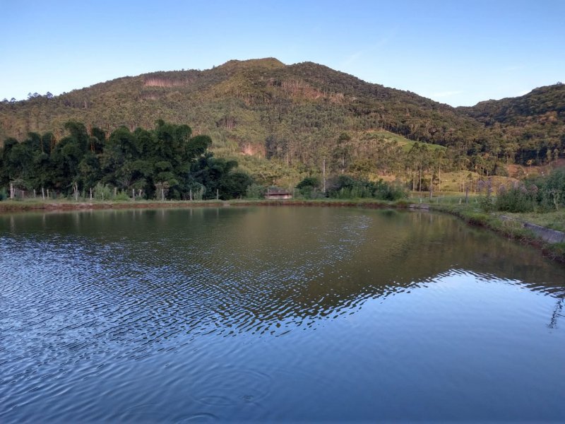imóvel com 150000m² - Universitário  - Tijucas