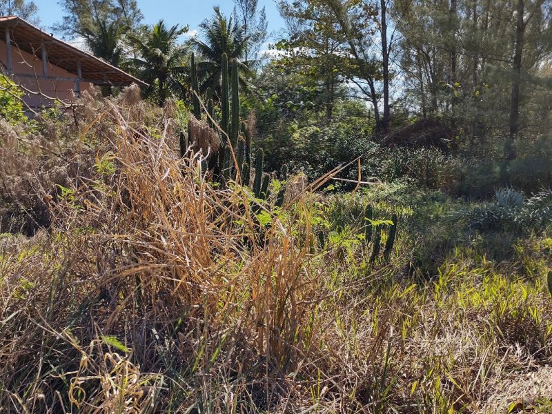 Terreno à venda Balneario Praia Seca com 15m² e  quartos por R$ 85.000 - 846483249-187d0c2e-25e1-4a93-a03f-a2e62b9b47f1.jpg