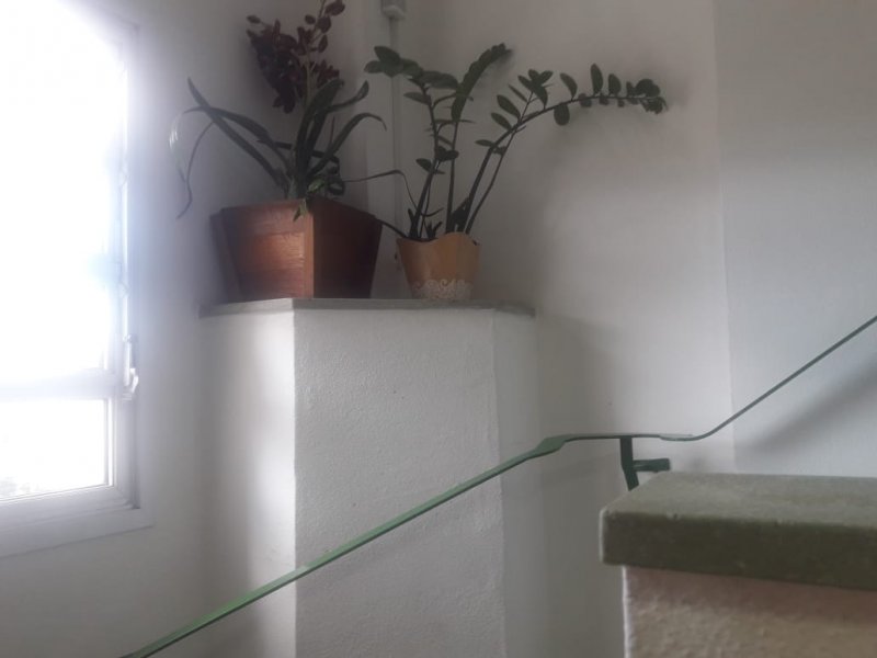 Apartamento à venda Aclimação com 220m² e 3 quartos por R$ 1.800.000 - 347748243-corredor.jpeg